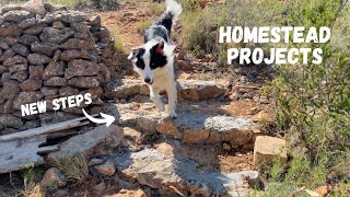 New improvements to our Homestead | Off grid in Spain | V.30