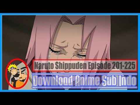 Naruto-Shippuden-Episode-201-225-Subtitle-Indonesia
