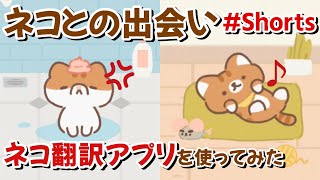 【ネコとの出会い スマホゲーム】ネコ翻訳アプリを使ってネコの気持ちを確かめてみた【ゆっくり実況】 #Shorts screenshot 4