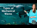 Understanding Mechanical Waves