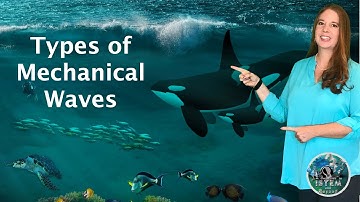 Types of Mechanical Waves: Longitudinal and Transverse