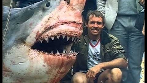 Documental | TIBURONES | Los Ataques Más Terroríficos Del Mundo