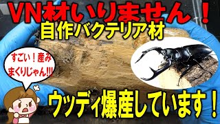 ウッディが産みまくる自作バクテリア材!VN材要らないんじゃない?