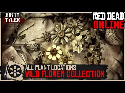 wild-american-flower-collection-all-plant-locations-(cycle-1)red-dead-online-rdr2