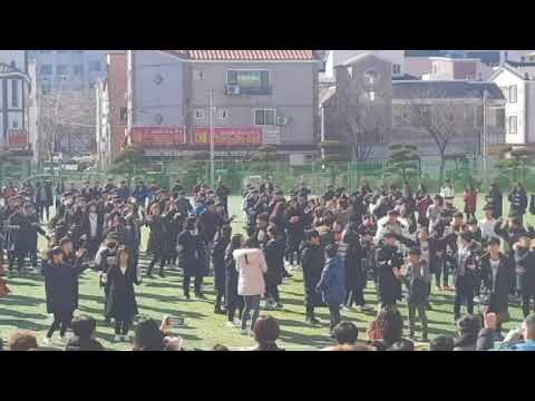 2017 김해외동초 졸업식 깜짝 플레시몹