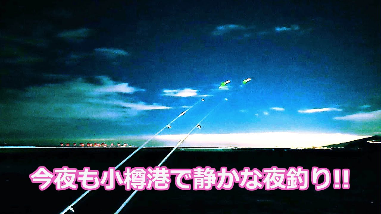 【北海道石狩湾・小樽釣り】今夜も小樽港で静かな夜釣り!!　2025.1.12　北国の生活（投げ釣り、サビキ釣り、自動シャクリ機、投光器）