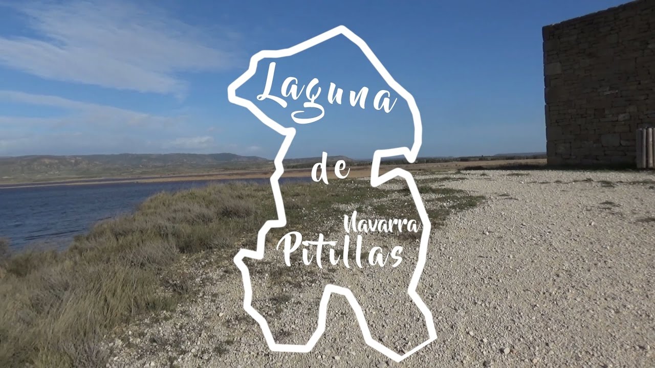 Laguna de Pitillas | Navarra | España Fascinante