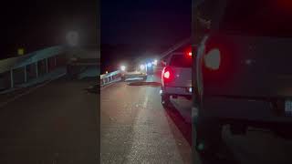 Unhurried Alligator Stops Traffic in South Carolina State Park
