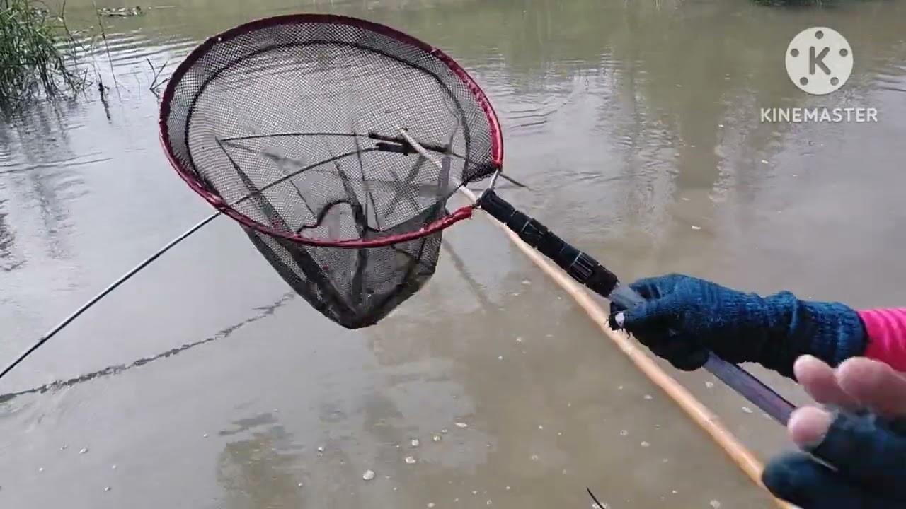 @ยกยอ#รอบสองเอาปิกปอบ่อแป้จ้าว😅# By.. จ้าวป้า..Ep. 534..14/มี.ค/68