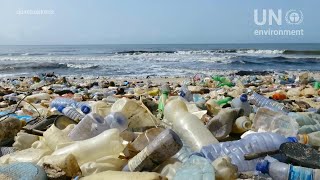 Redefining Waste - Use plastic creatively