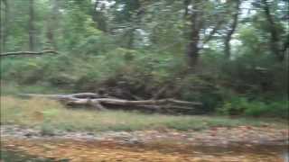 Very fast view of our Indiana geode site @CharlesSniderNYC