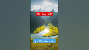 تلاوة قصيرة وجميلة الشيخ عصام العامري