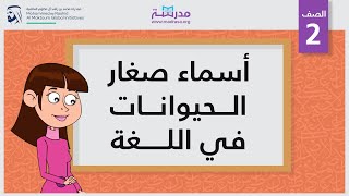 أسماء صغار الحيوانات في اللغة | الصف الثاني | مفردات