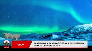 Download Lagu Lafti Aduun itti hin dhiinee jirtii jettanii yaaddanii beektu? MP3
