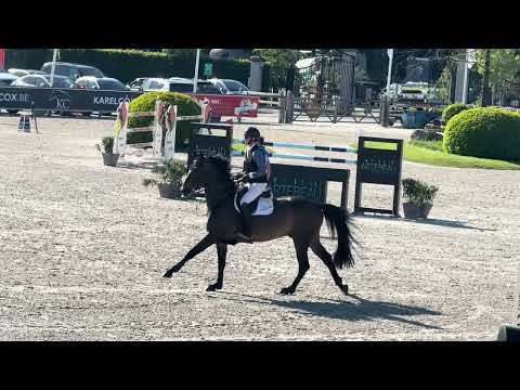 Centerfold 145 LR CSI2* Opglabbeek 5th place