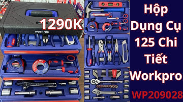 Hộp dụng Cụ 125 Chi Tiết Workpro WP209028 | Đủ món tiện lợi