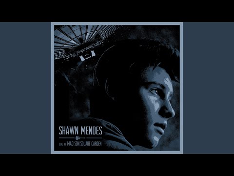 Stitches (Live)