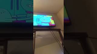 Bossy Bear And Turtle On The Playground