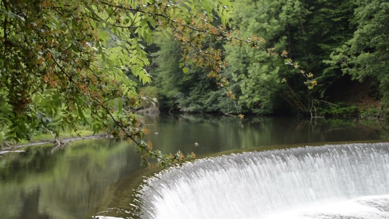 Watch Waterfall Sounds for Sleeping | Fall Asleep & Stay Asleep with Soft Water White Noise on YouTube Watch Waterfall Sounds for Sleeping | Fall Asleep & Stay Asleep with Soft Water White Noise on YouTube