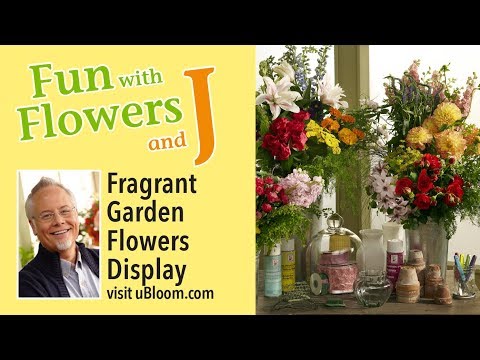 Video: Záhrada s voňavou náladou – upravte si náladu voňavou kvetinovou záhradou