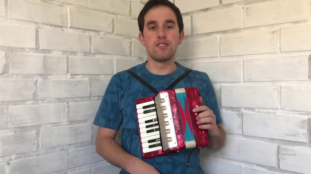 Acordeon 8 baixos como tocar