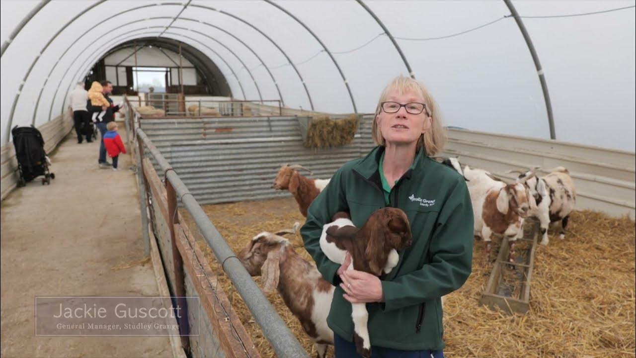 HalfTerm Fun at Studley Grange Studley Grange TV YouTube