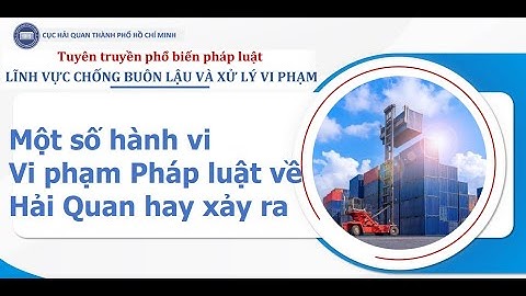 Vi phạm Pháp luật về Hải Quan hay xảy ra - Khuyến nghị của cơ quan Hải Quan.