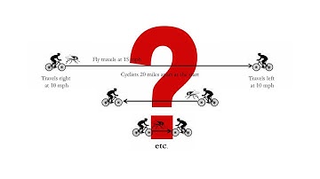 The Fly Puzzle and Von Neumann