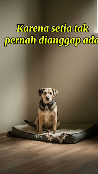💥 Setia yg Tak dihargai*. #viral #storywa #statuswa #ruanghati #motivation #motivasi