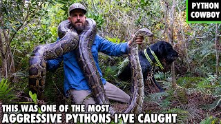 My Python Hunting Dog Was Almost Taken Out By This Giant Python
