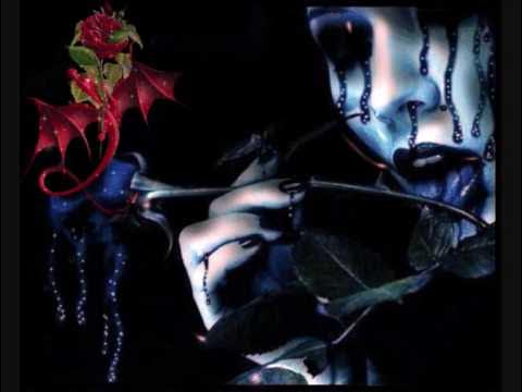 Tina f. Tina f. Tina f. Tina turner what's love. Tina turner.