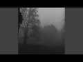 Poison Tree Extended Super Slowed Reverb 