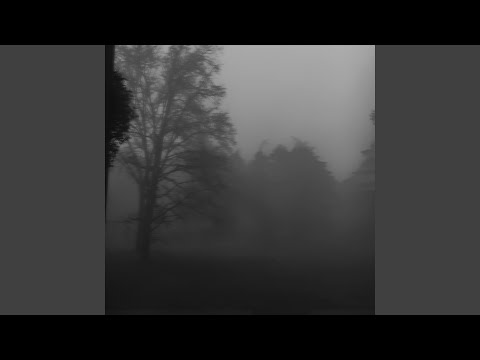 poison tree (Extended) - super slowed + reverb