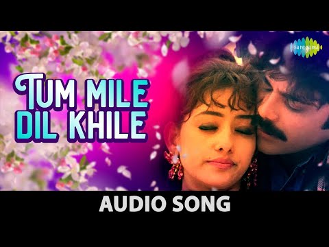 Tu Mile Dil Khile | Kumar Sanu | Alka Yagnik | Criminal | Nagarjuna | Manisha Koirala |Romantic Song