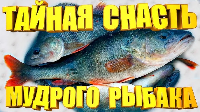 Лучшая оснастка для рыбалки. Как сделать снасть убийца карася своими руками. Рыбалка 2023