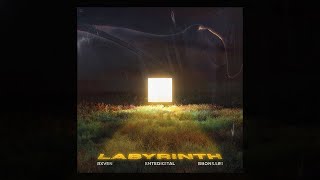 entedigital, Rxven, bbonsai!!! - LABYRINTH (visualizer)
