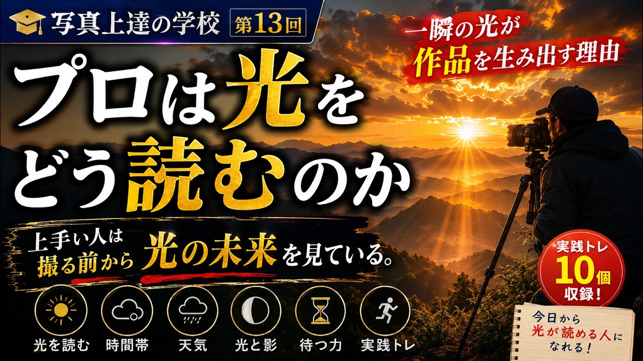 プロは光をどう読むのか】～一瞬の光が作品を生み出す理由～｜写真上達