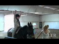 Therapeutic Riding Helps People With Physical and Emotional Handicaps