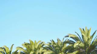 Summer Vibes 2025 🌴Chillout Mix