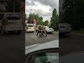 "Мобилизация в Украине проходит нормально" (с) Данилов.