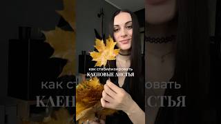 Как стабилизировать листья для декора. #diy #декор #осеннийдекор #своимируками