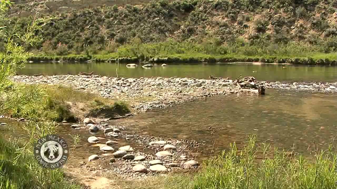 creating cover for wildlife The Importance of Cover