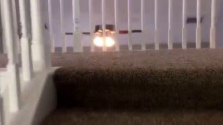 7913 Rolling Stone Ave Charlotte NC 28216