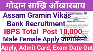 Assam Gramin Bank//IBPS 10,000 Vacancy Out हौवा हिनजावफोर Apply खालाम IBPS Recruitment 2024