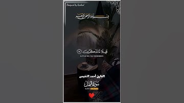 قران كريم للقارئ احمد النفيس تلاوة خاشعة سورة النمل #قرآن #قران_كريم #قران #القرآن #تلاوات