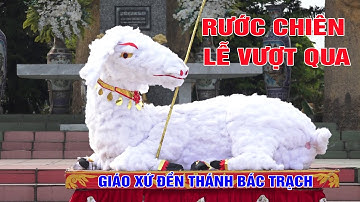 💥Rước Chiên Lễ Vượt Qua | Đền Thánh Bác Trạch