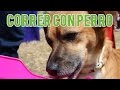 Correr Con Perro | Spring Party Fuenlabrada