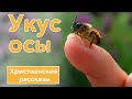 🔶 Укус осы - ИНТЕРЕСНЫЙ ХРИСТИАНСКИЙ РАССКАЗ | Христианские рассказы