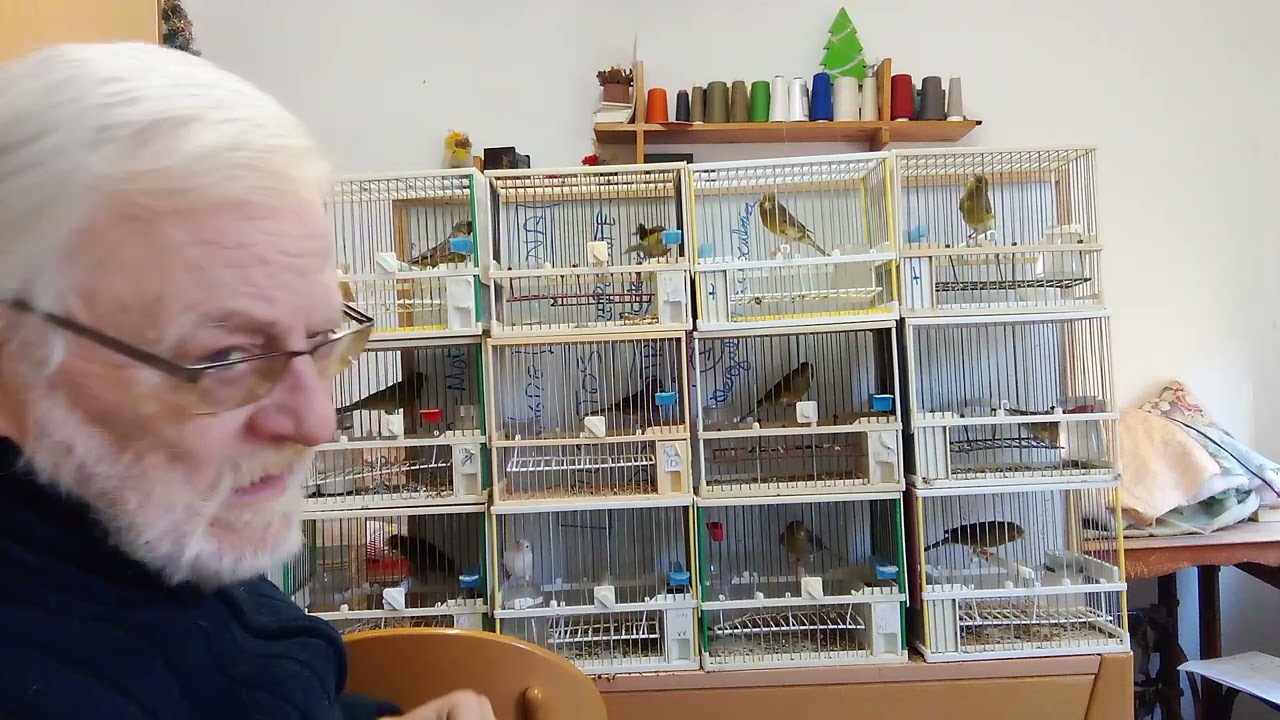 ENJAULE y SILVESTRISMO