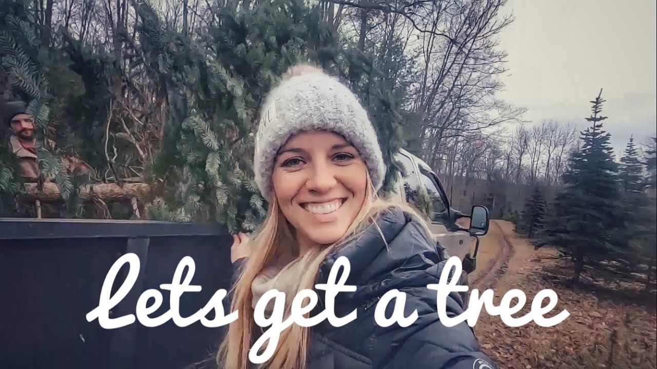 Cut your own Christmas tree farm! - YouTube